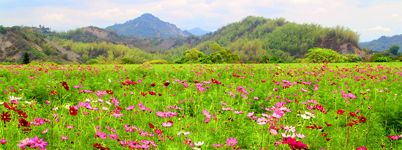 Experience family leisure fun in the countryside