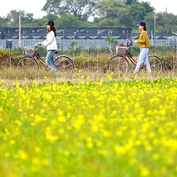 Tour with T-Bike