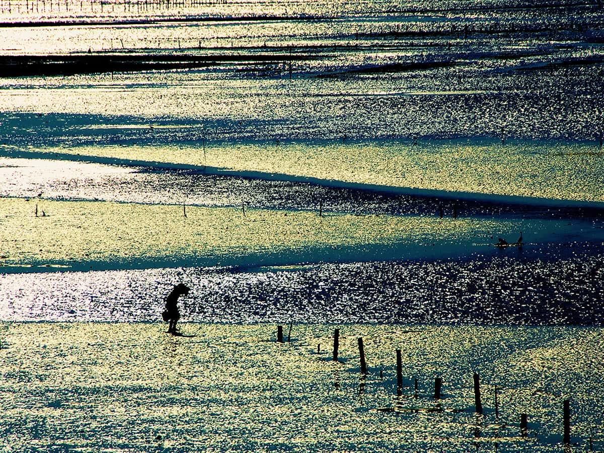 海岸