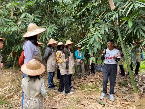 由大坑竹筍職人蔡澄文親自帶領遊客進入竹筍的奇妙世界