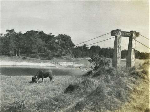 1938年建造的第一代吊桥为铁线桥，样式极为简陋
