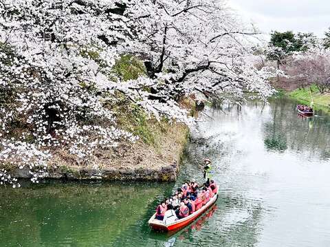 游客於弘前公园环湖、赏花