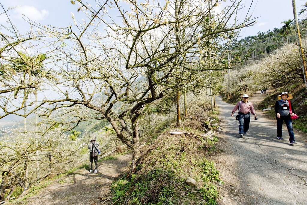 梅嶺登山步道