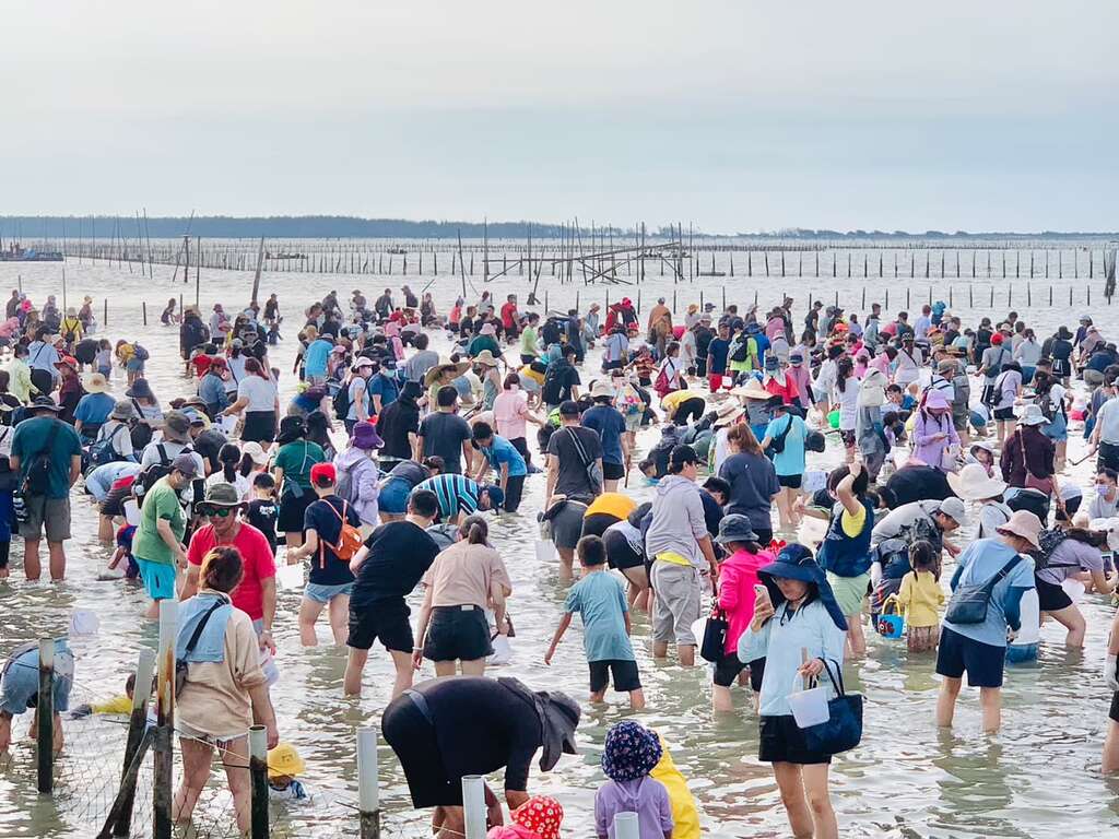 2024臺南七股海鮮節 本周六開跑！活動現場需憑紙本票券入場體驗 停車空間有限 歡迎搭乘免費接駁車