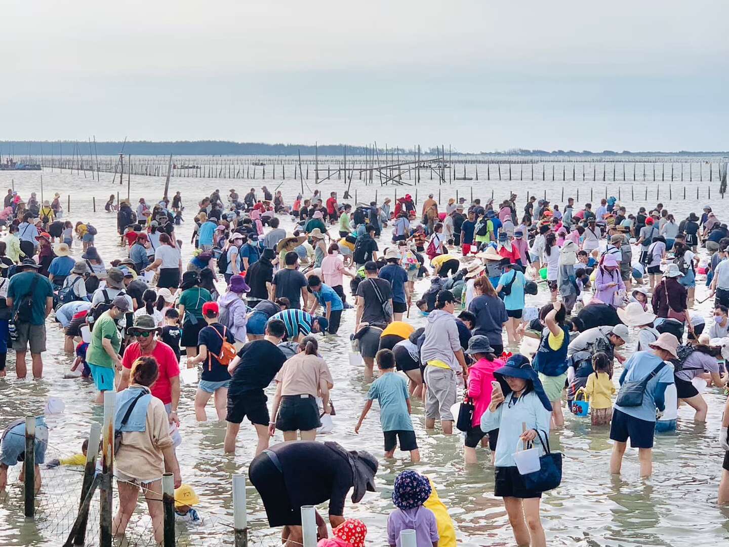 觀光赤嘴園挖文蛤體驗2023活動照片