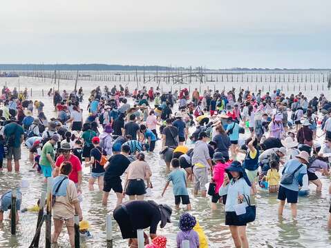 观光赤嘴园挖文蛤体验2023活动照片