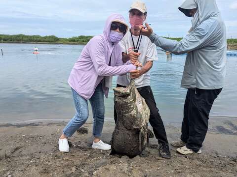 「养殖海鲜大探索场」实地进入养殖场体验养殖工作