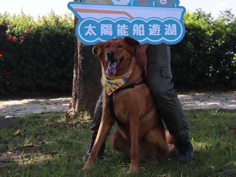 太陽能乘船遊湖