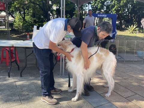 宠物健检