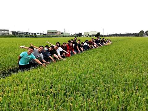 田间玩很大(历史照片)_民众漫步田间