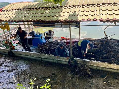 台风後埤面清理