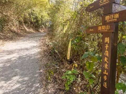 春暖花開遊山區，美食泡湯正得時