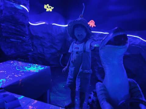 沉浸式体验游戏