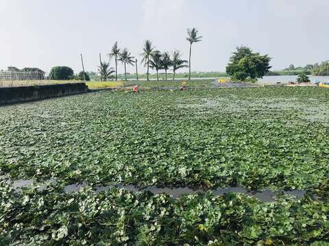 菱田风光