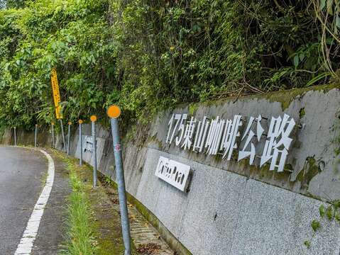东山175咖啡公路