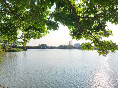 葫芦埤园区水域景色