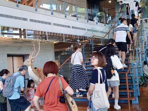 左镇化石馆参观人潮