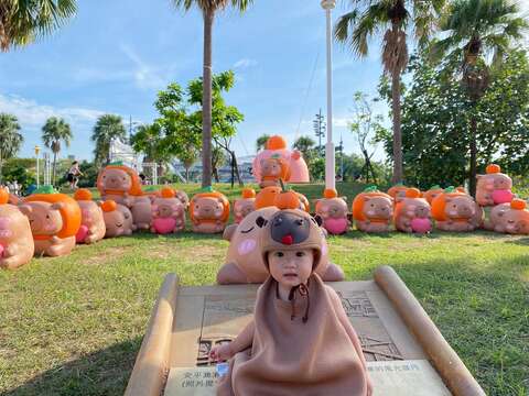 2025卡比胖拉出没注意-小水豚出没注意