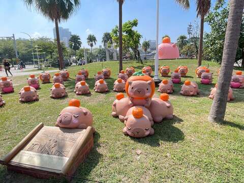 2025卡比胖拉出没注意-卡比胖拉创意摆拍