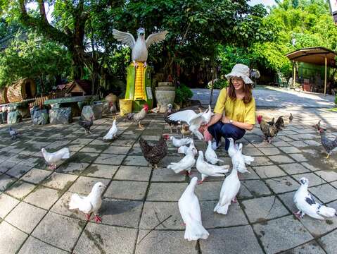 鱼头君带路电子报vol.8_大坑休闲农场