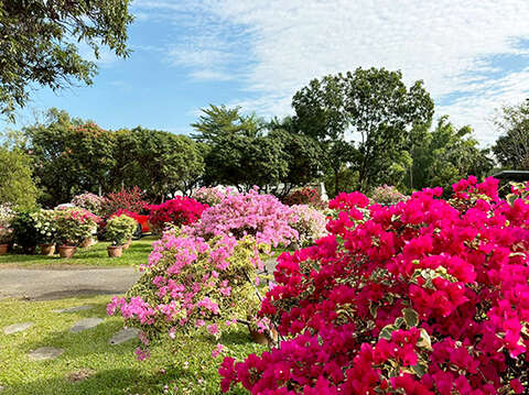 鱼头君带路电子报vol.8_林家园艺