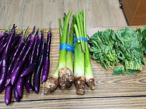 阿美族以野菜文化闻名，也把麴用在腌渍、保存食材。（丮硠‧玛那提供）