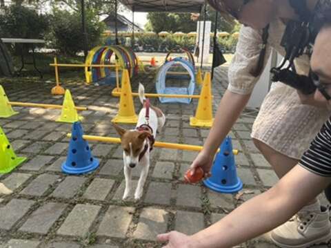 毛小孩在专属游乐设施区尽情奔