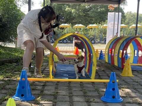 游客与毛小孩开心互动