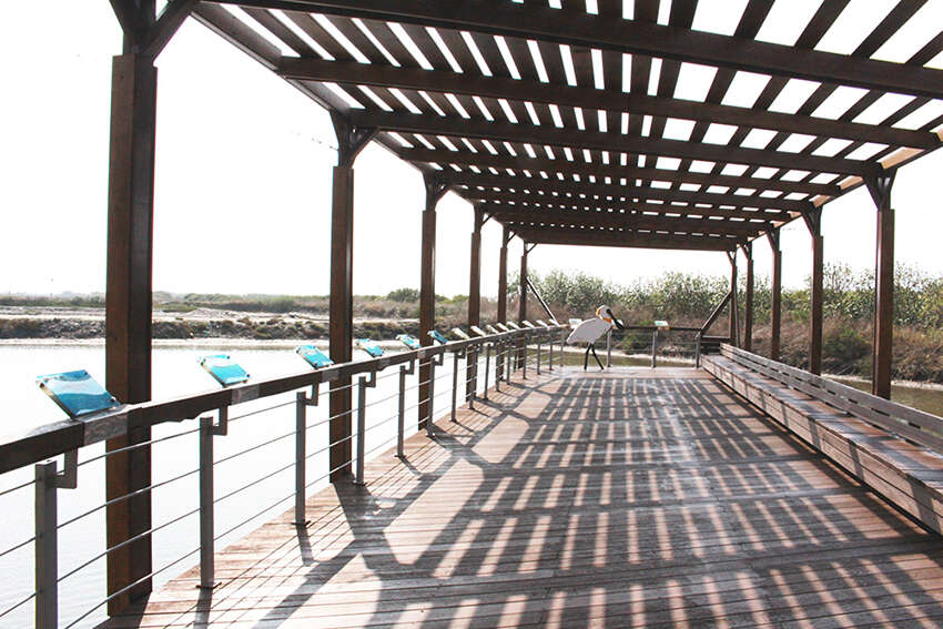 黑面琵鹭生态保护区__黑面琵鹭生态展示馆