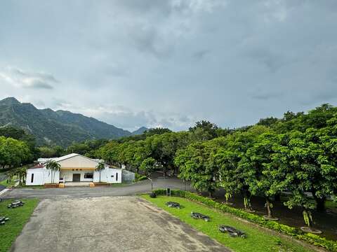 曾文青年活动中心_腹地宽广