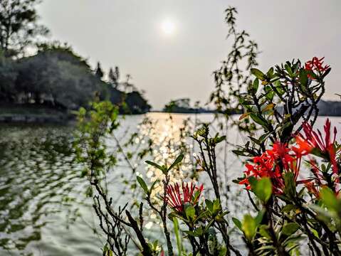 虎头埤环境教育-宁静湖畔