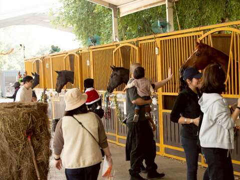 马年到台南市马术场与马互动