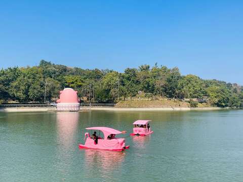 踩踏脚踏船游湖看风景