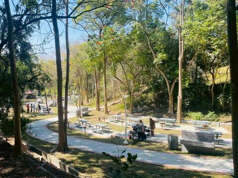 竹林烤肉区亲朋好友一起来夯肉