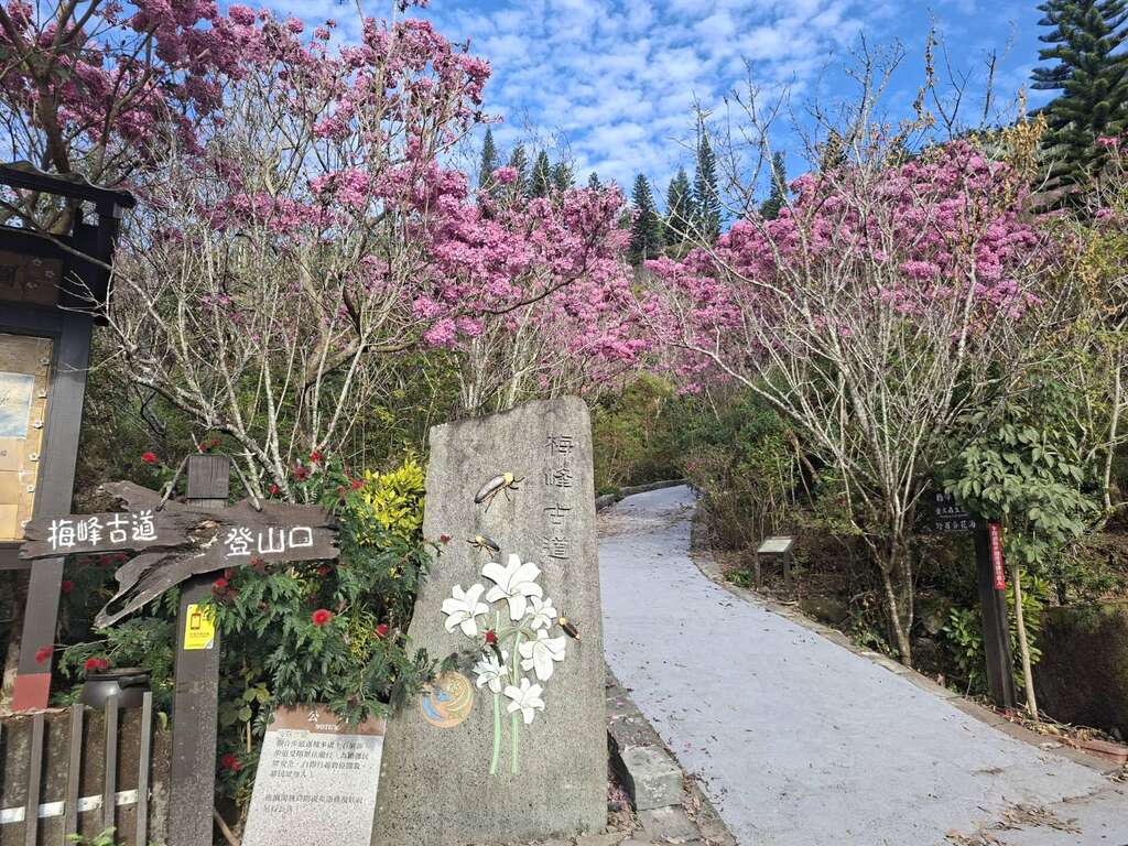 梅峰古道-许鸿文提供