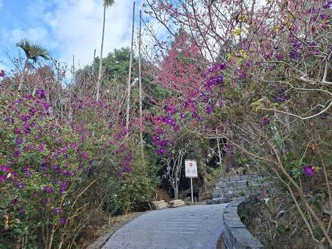 梅峰古道-许鸿文提供