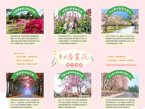 鱼头君带路电子报vol.2_初春赏花热门精选