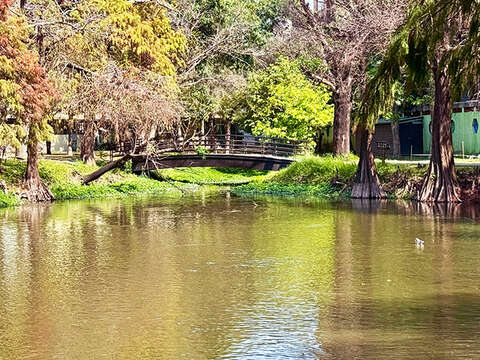 鱼头君带路电子报vol.2_巴克礼纪念公园