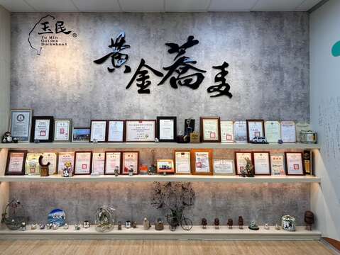 黄金荞麦探索馆_观旅局