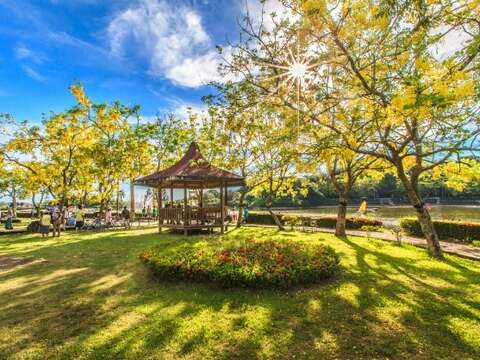 虎头埤风景区阿勃勒花海