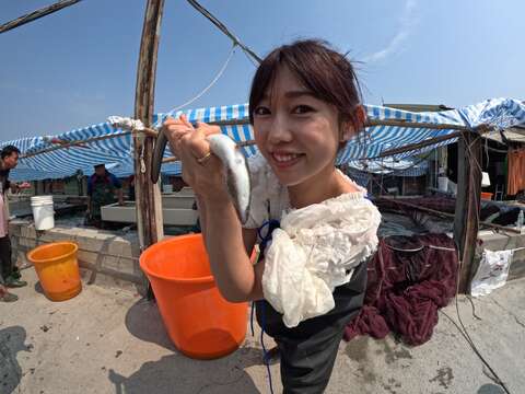 崛江圣夏抓鳗鱼体验