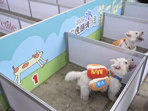 准备起跑罗