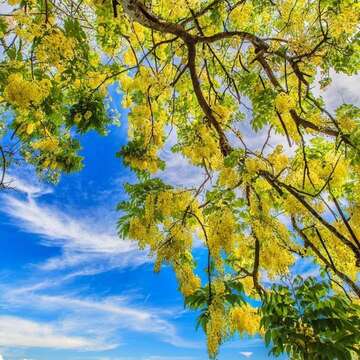 优选_新化区 虎头埤风景区