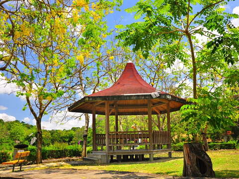 虎头埤风景区阿勃勒美景(历史照片)(图／南市观旅局提供)