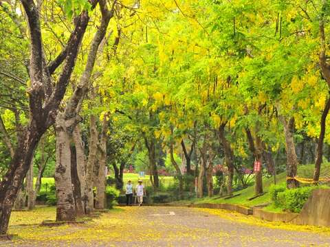 虎头埤阿勃勒(南市观旅局提供)