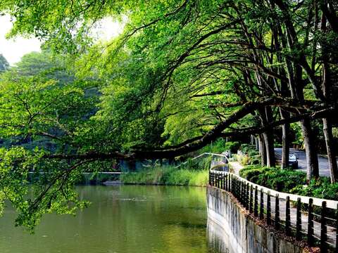 虎头埤湖畔步道