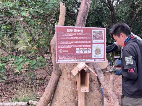 架设生态小屋