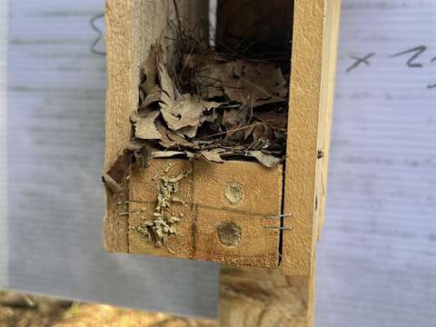「满房」的生态小屋