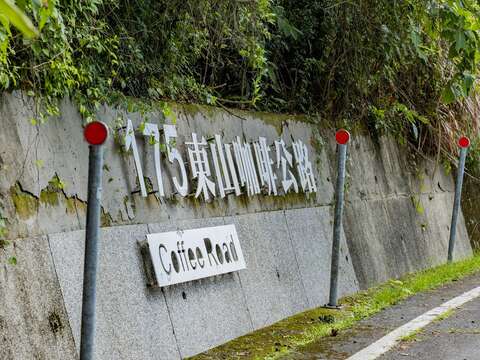 鱼头君带路电子报vol.7_175咖啡公路