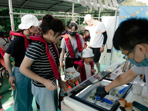 2025水上市集历史照片_南区区公所提供